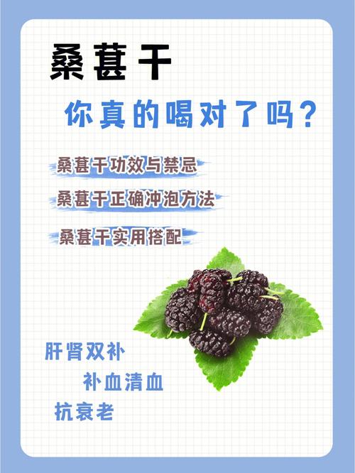 吃桑葚后喝牛奶会消化不良?食物搭配解析