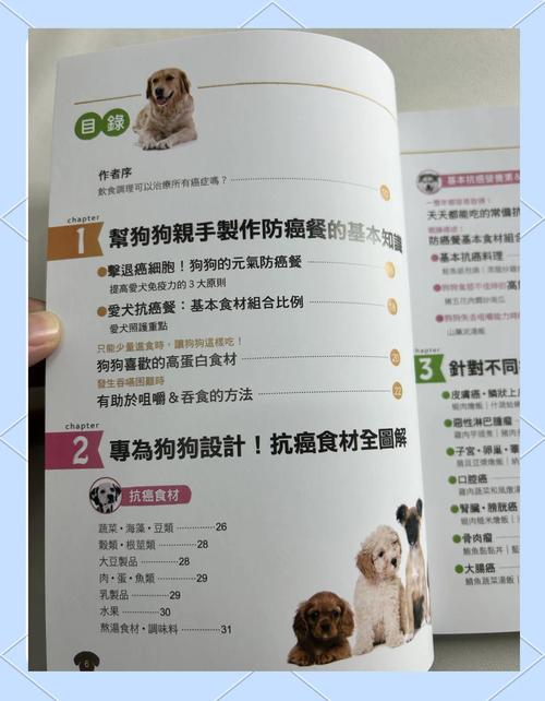 宠物狗饮食注意事项,这些别喂