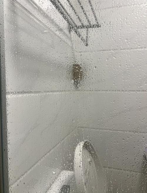 玻璃擦不干净?试试加点这个东西
