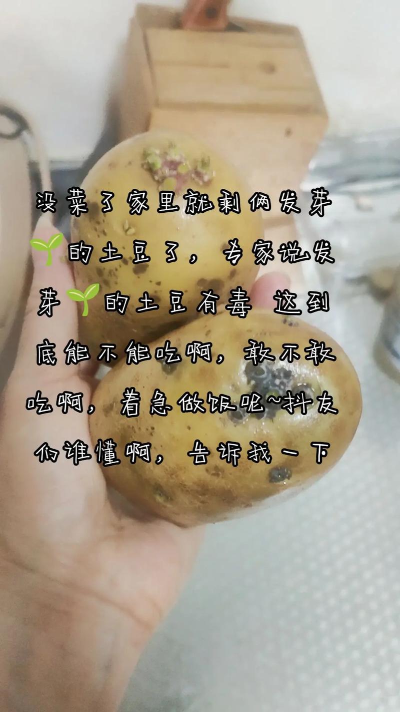 发芽土豆不能吃?这3种发芽食物反而更营养