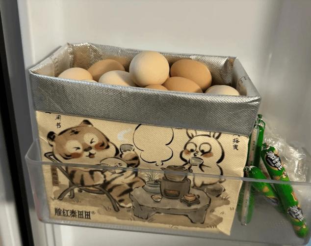 外卖餐盒改造成宠物食盆,废物利用新方式