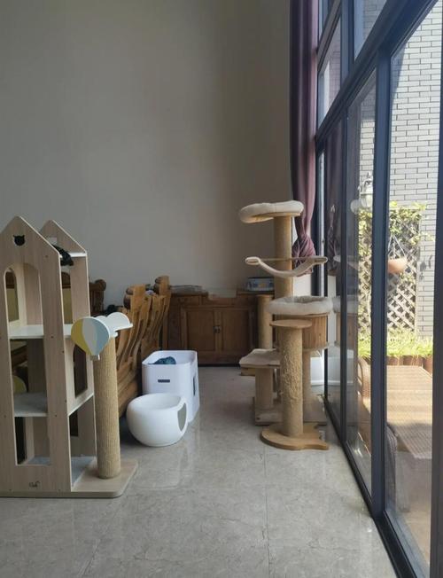 猫砂盆摆放禁忌:这3个位置千万别放!