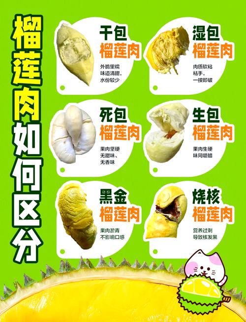 如何辨别“死包”榴莲?常见水果挑选技巧