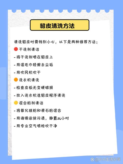 皮草保养避坑:干洗选择 + 防潮防虫要点